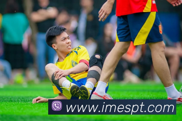im电竞平台平台生态图